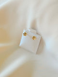 Stars Zircons 14k